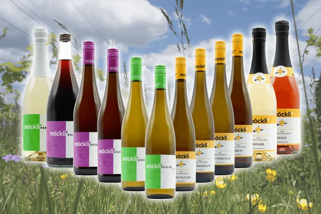 m-cklis-aktionen-fr-hjahrspaket-12-flaschen-saft-secco-set image 1
