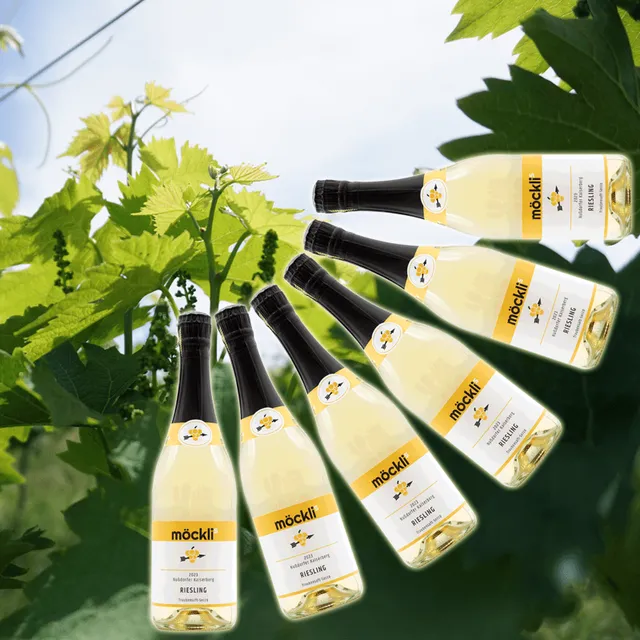 m-cklis-2023er-riesling-traubensaft-secco-6er-paket-vegan image 1