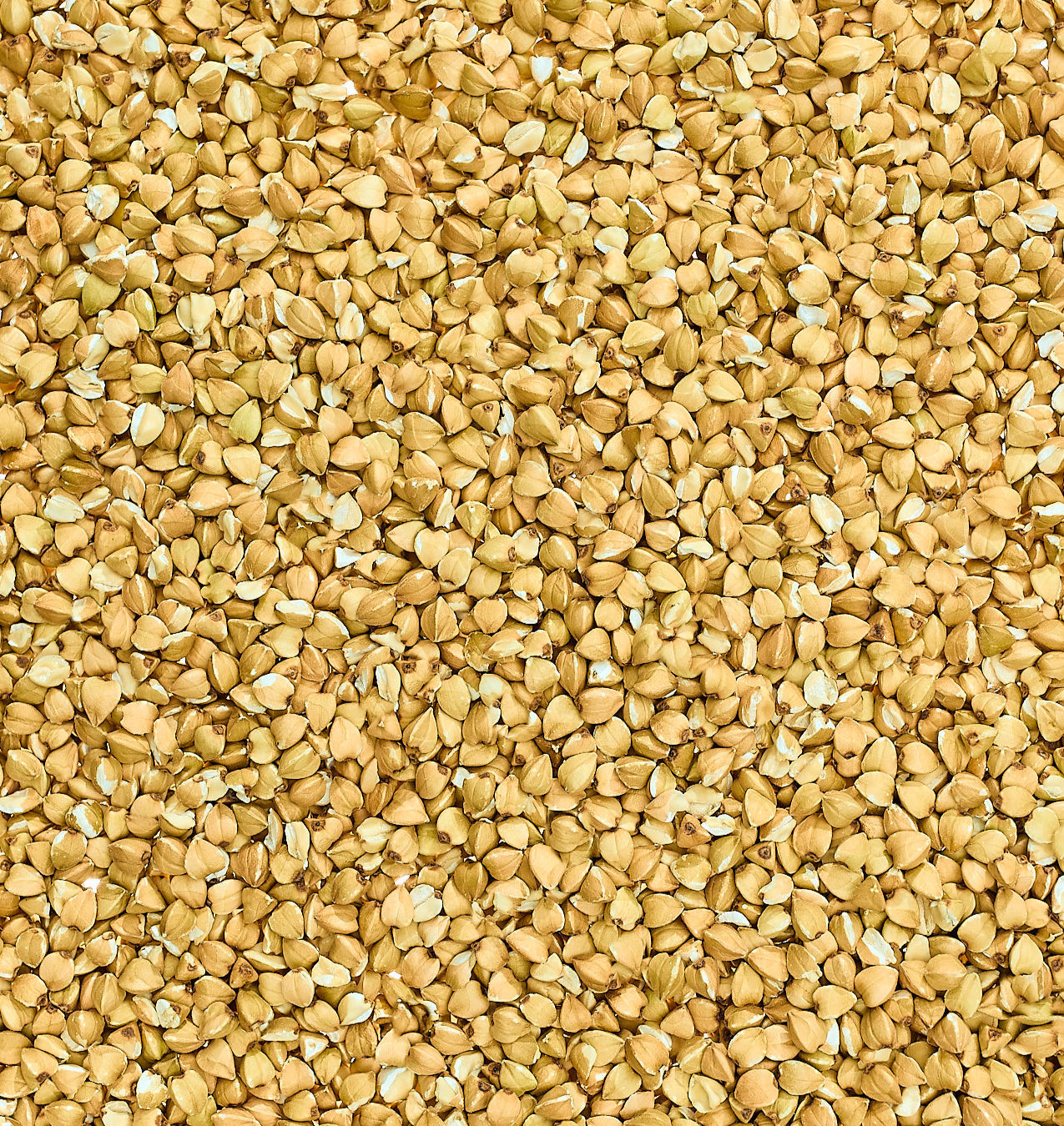 alb-leisa-buchweizen-kerne-ganze-k-rner-bio image 2