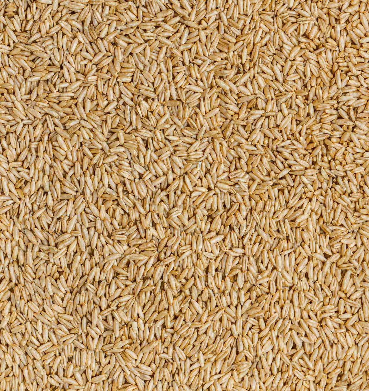 alb-leisa-bioland-nackthafer-ganze-k-rner-bio image 2