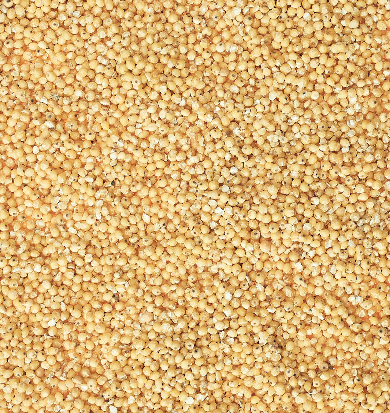 alb-leisa-bioland-hirse-getreide-bio-schw-bische-alb image 2
