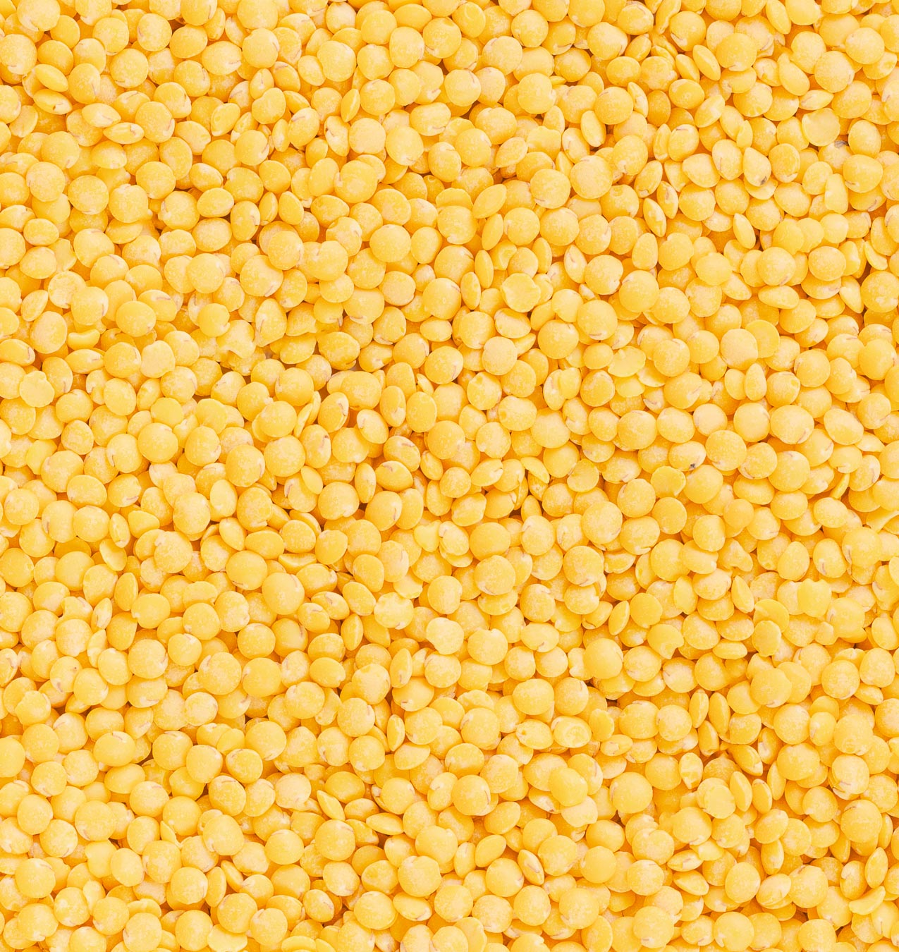 alb-leisa-gelbe-linse-gesch-lt-bio-linsen-schw-bische-alb image 2