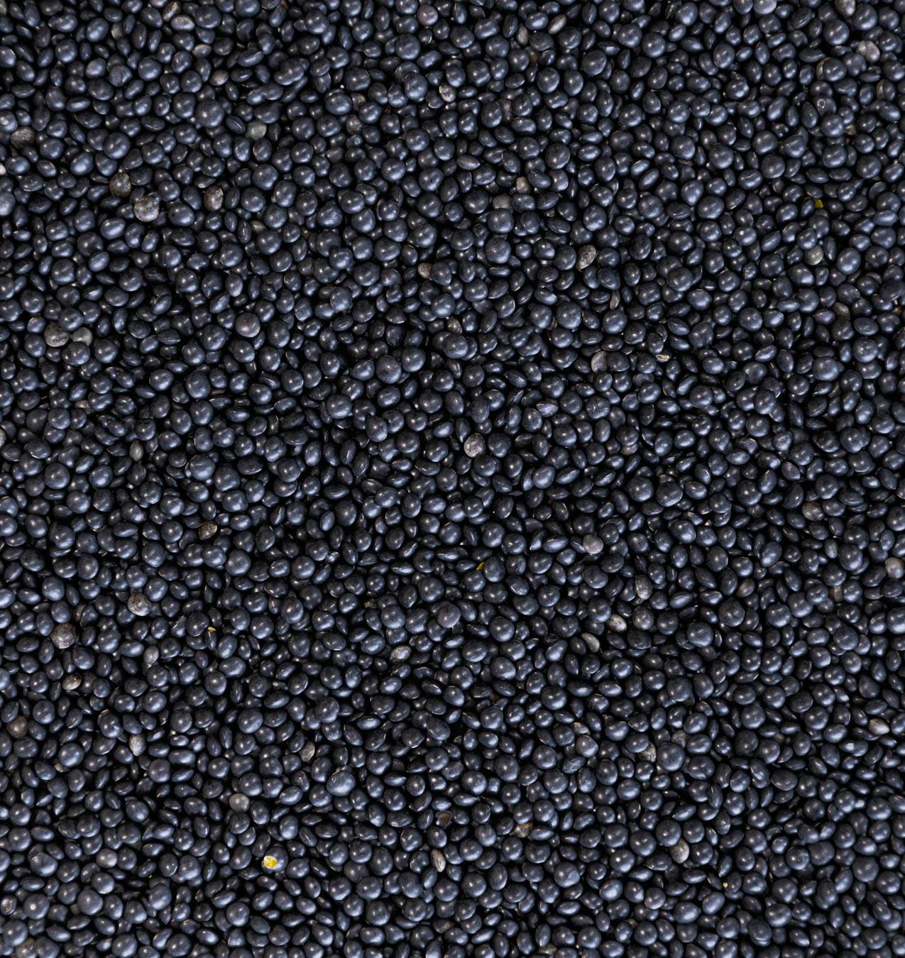 alb-leisa-beluga-linse-linsen-bio-schw-bische-alb image 2