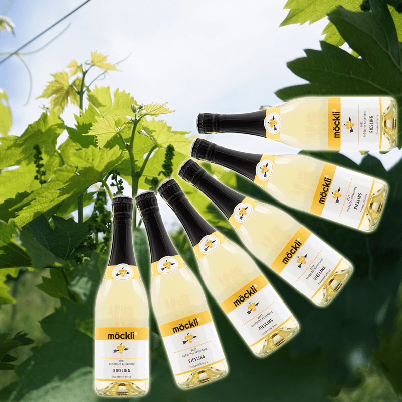 m-cklis-2023er-riesling-traubensaft-secco-6er-paket-vegan image 1